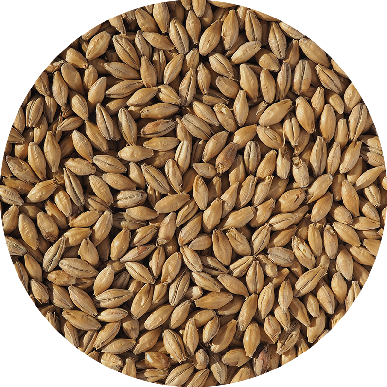 Clear Choice Malt® Pale (Crisp), whole, pallet 40x25 kg - 2