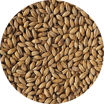 Clear Choice Malt® Pale (Crisp), hel, pall 40x25 kg