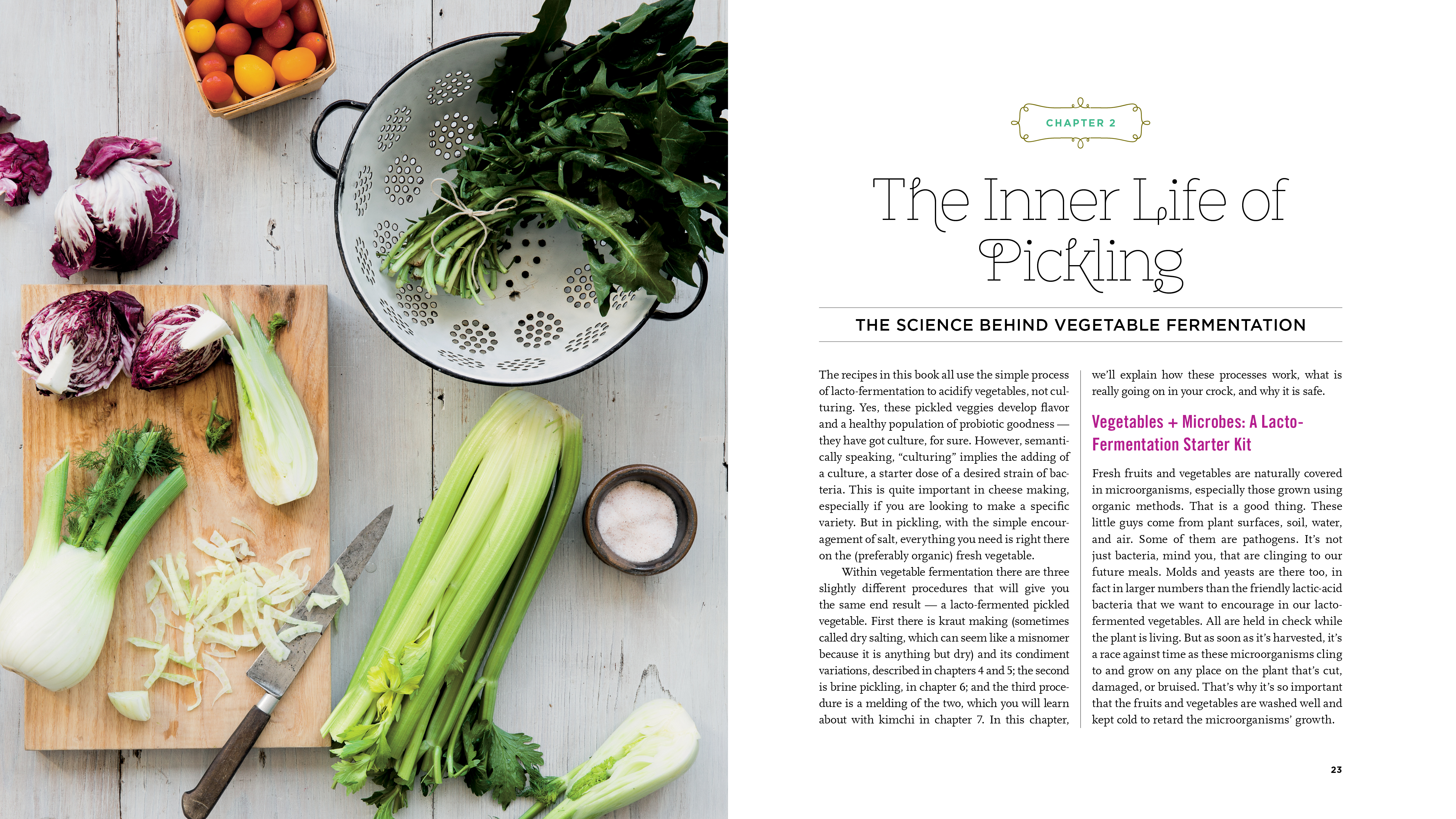 Fermented Vegetables - 2