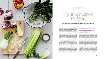 Fermented Vegetables