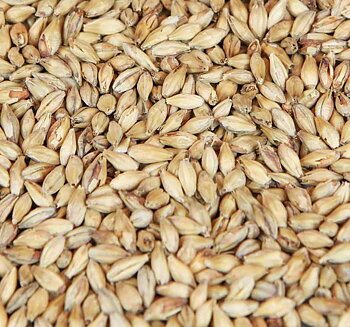 Caramunich® 1 (Weyermann®), whole, 25 kg