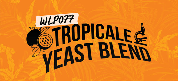 Tropicale Yeast Blend (White Labs WLP077 Organic) - 2