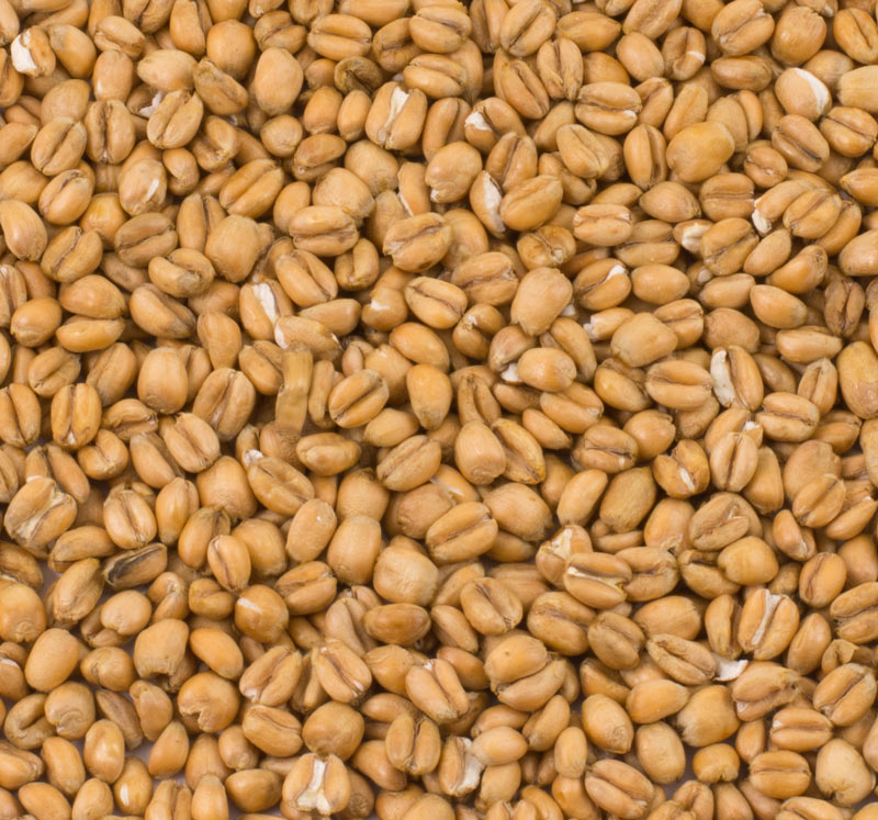 Torrefied Wheat (Crisp), hel, 25 kg - 3