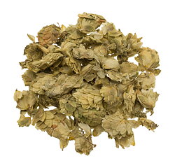 Lambic hops