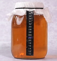 Kombucha