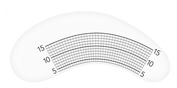 Stickers to measure lash length 10 pair