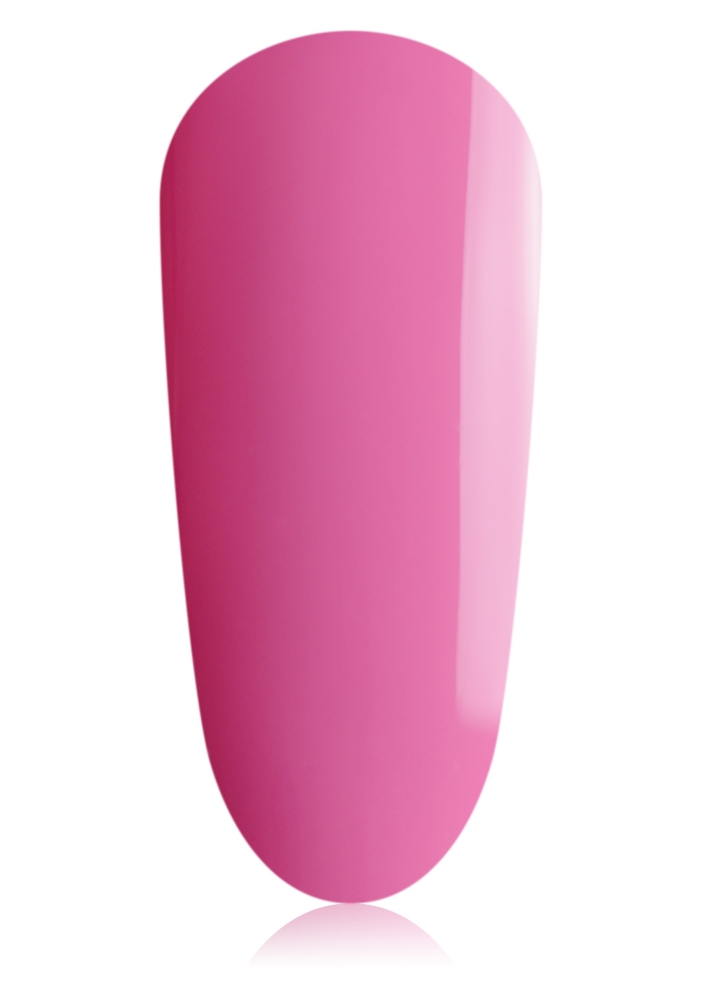 Gerbera  20 ml 