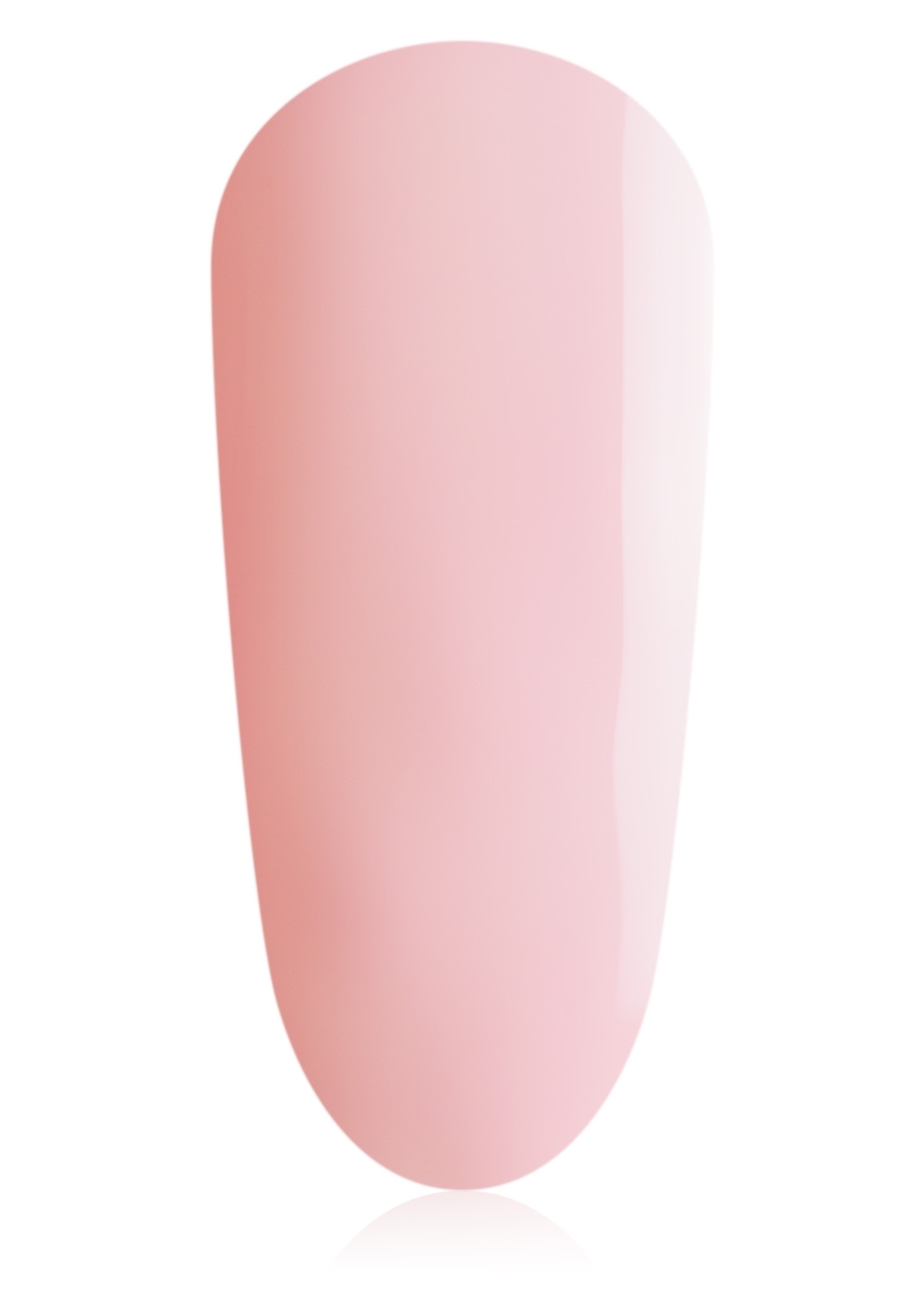 Plum Blossom  20 ml 
