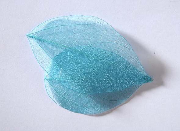 sr134 Colour leaf light blue