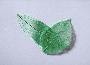 sr133 Colour leaf green 
