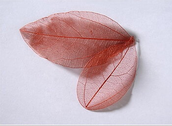 sr131 Colour leaf light brown/red