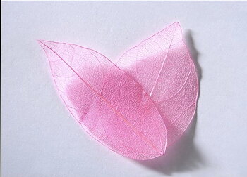 sr128 Colour leaf pink 