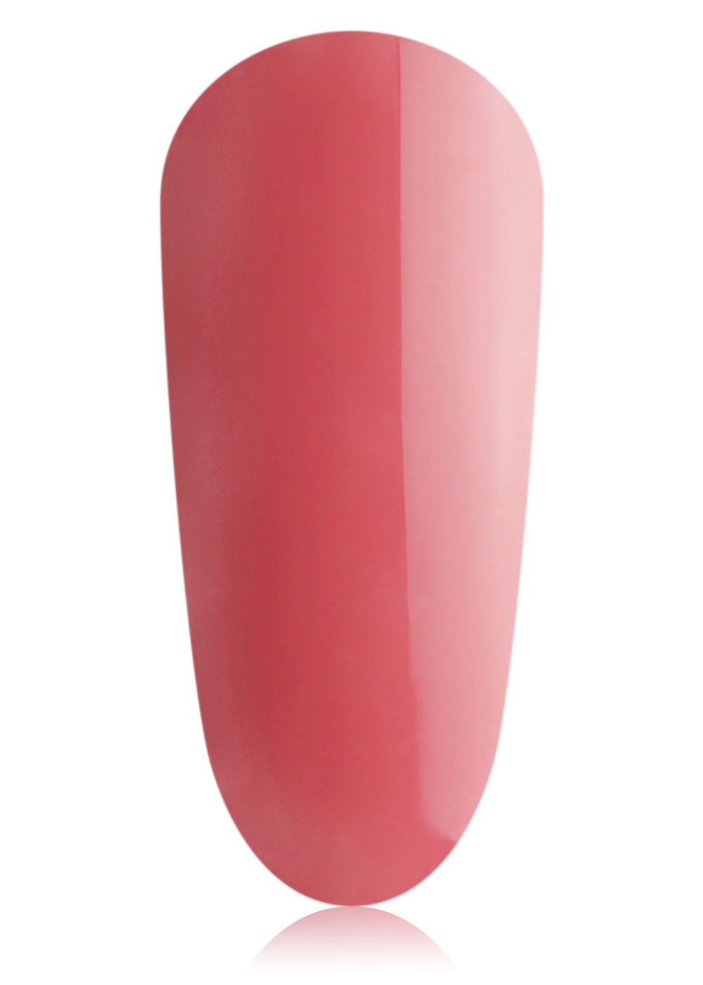 Rhubarb 20 ml 