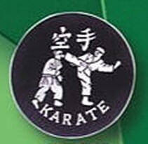 Broderat Märke Karate Kick