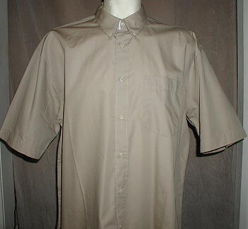 The Best Shortsleeved Shirt, Beige