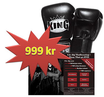 PAKET DVD + King Thaiboxhandske,12 oz