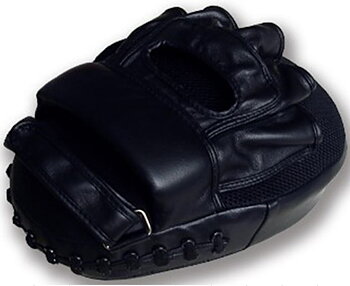 Playwell Handmitts Large(single)