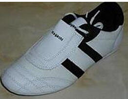 Hayashi Budoshoe Canvas/Art.leather White