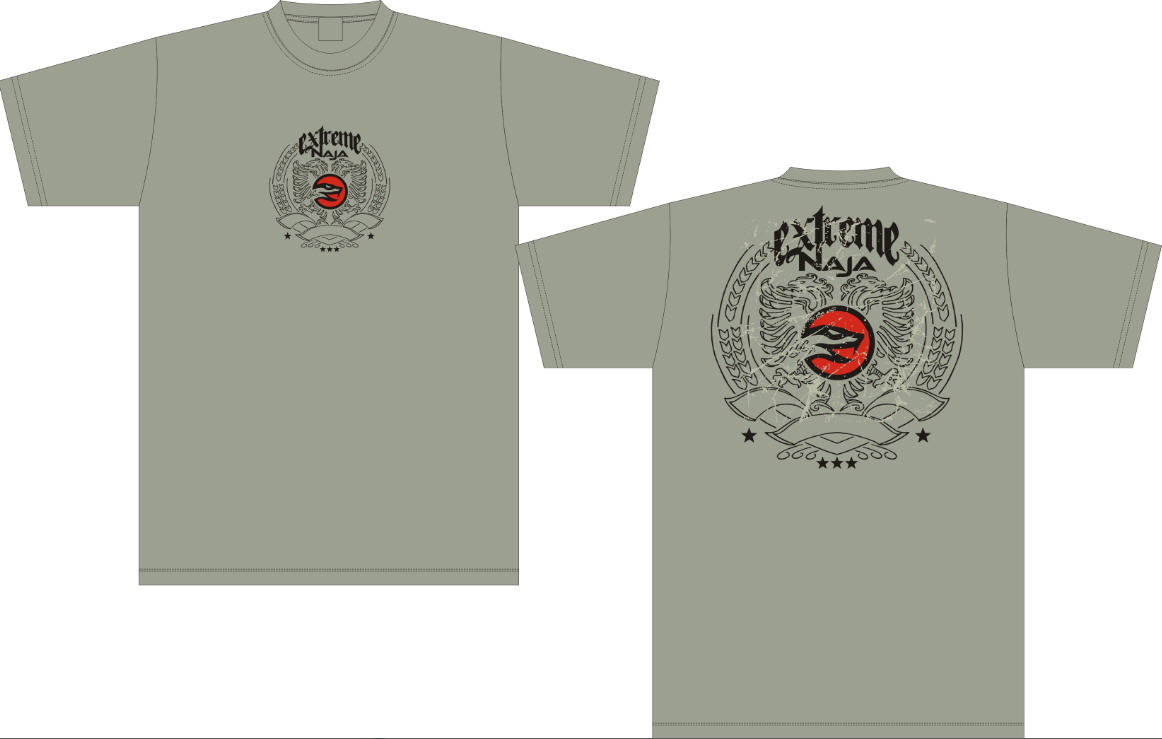 NAJA T-shirt Grå