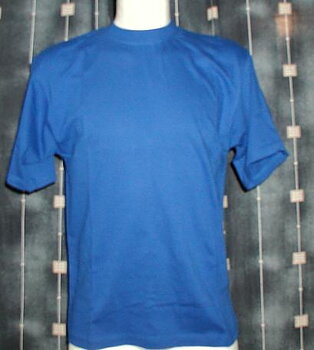 Jingham Northern T-shirt, Royalblå X-Small