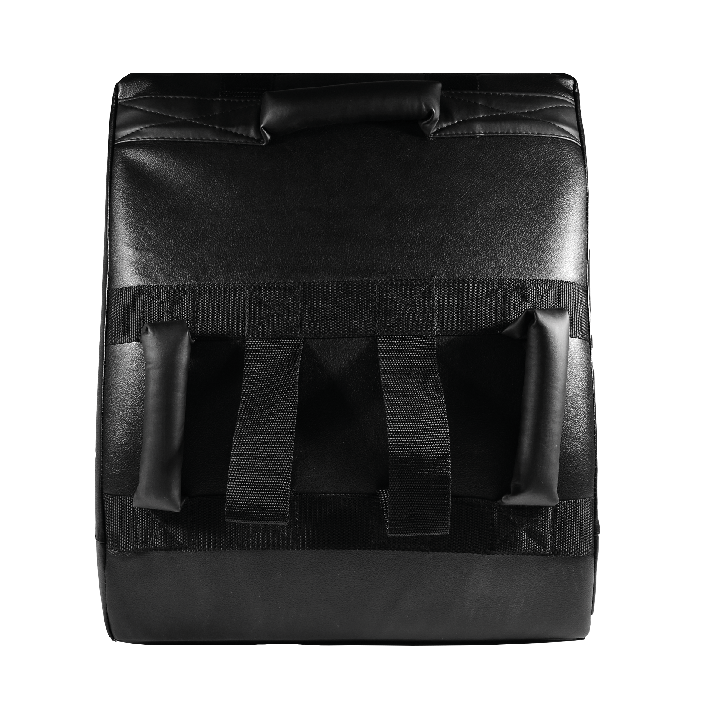 JC Kicking Shield Large - 2