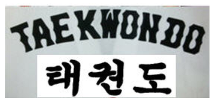 JCalicu WT Ribbed Club Dobok, Black backprint WT approved - 5