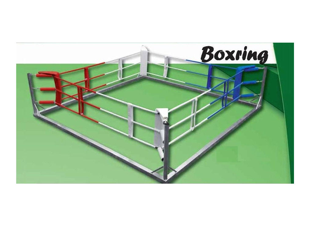 Topten Trainingring