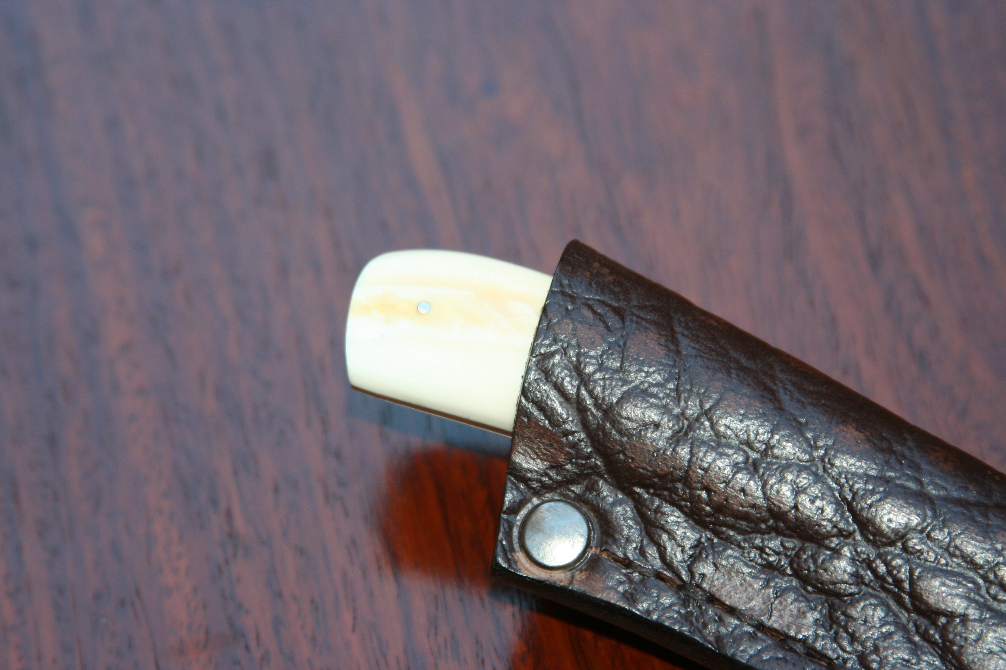 Small Skinner - Vårtsvinsbete - 6