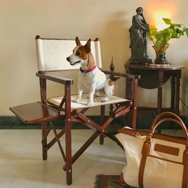 Salon Chair – Maharadjans favorit - 10
