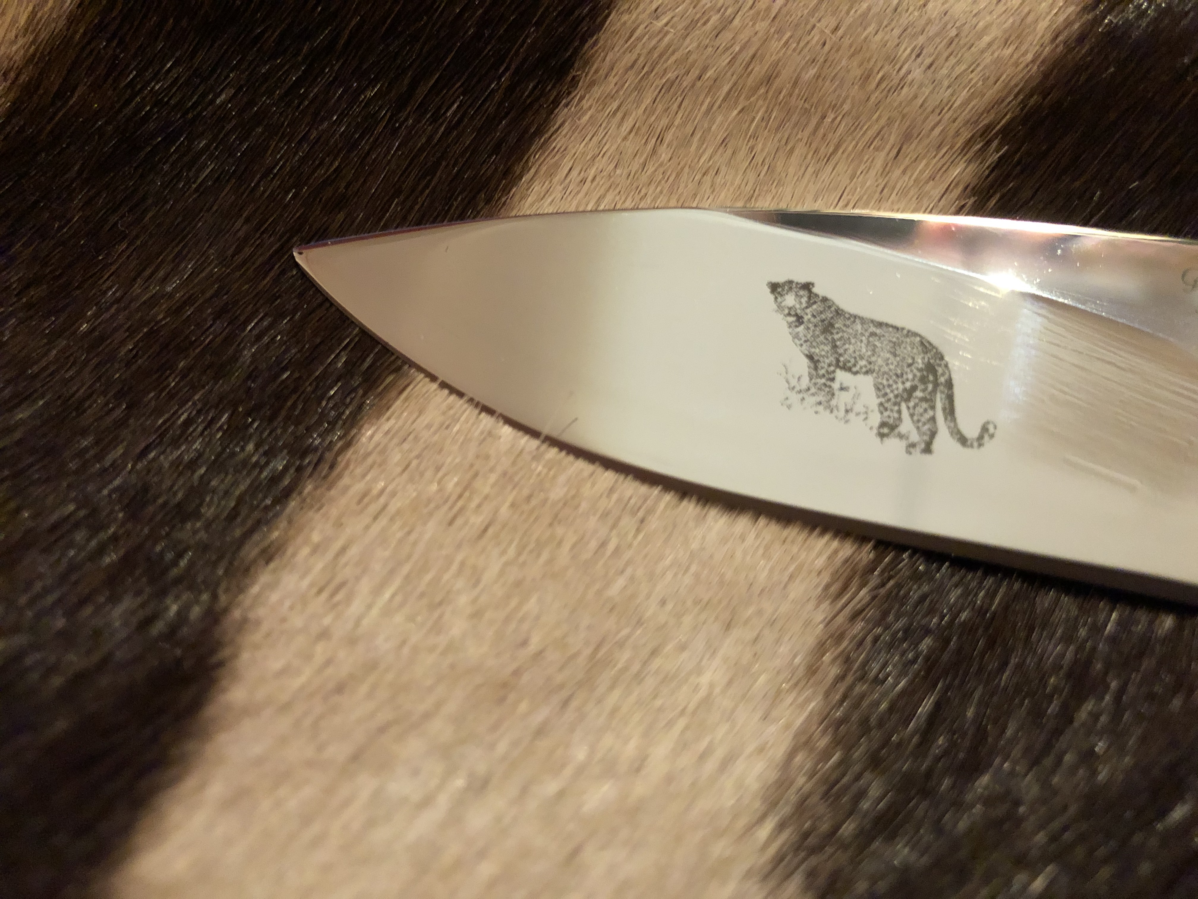 Läcker Small Skinner! - Etsad Leopard - 2