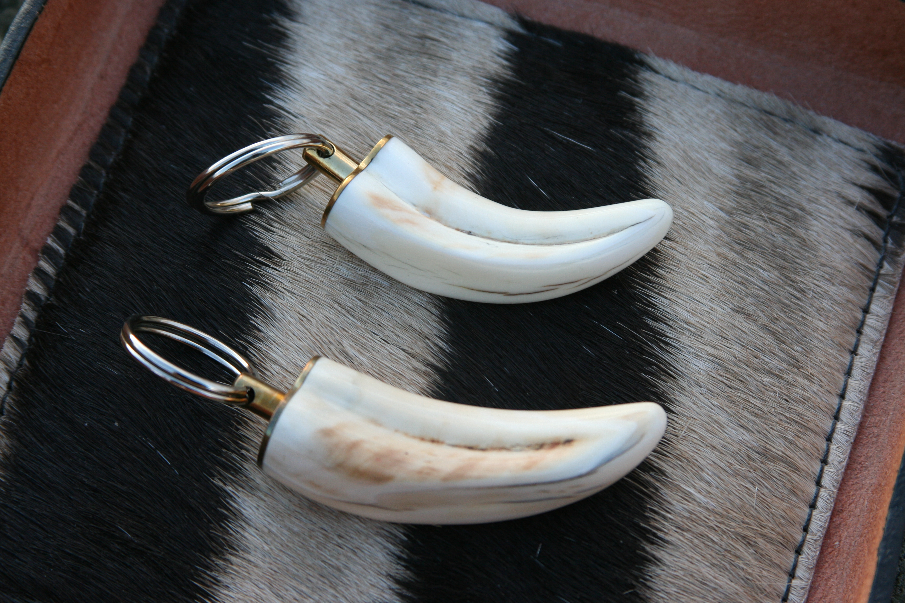 Nyckelring Vårtsvinsbete - Warthog Ivory Tusk Keychain - 2
