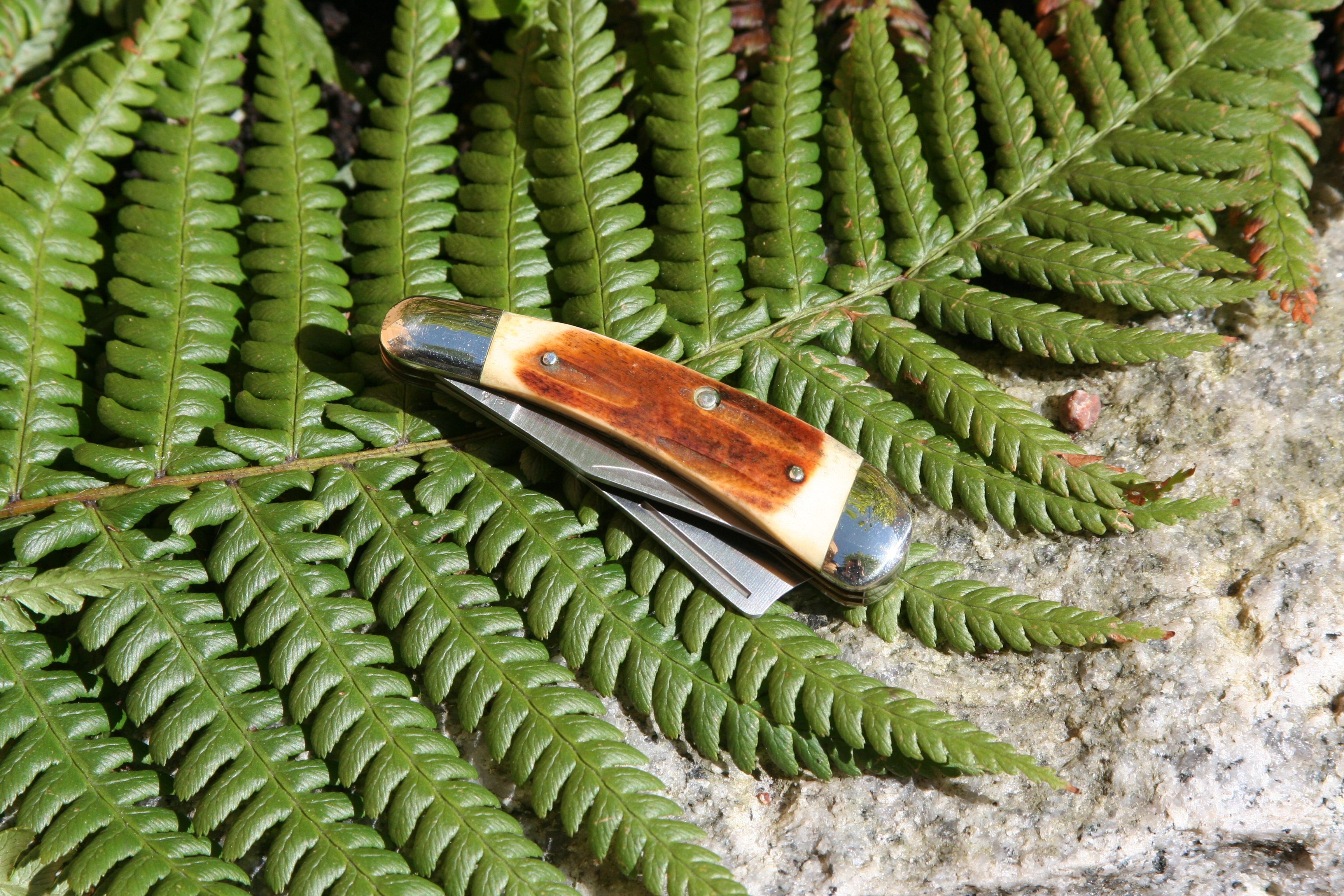True Gentleman´s Pocket Knife - Razor - 4