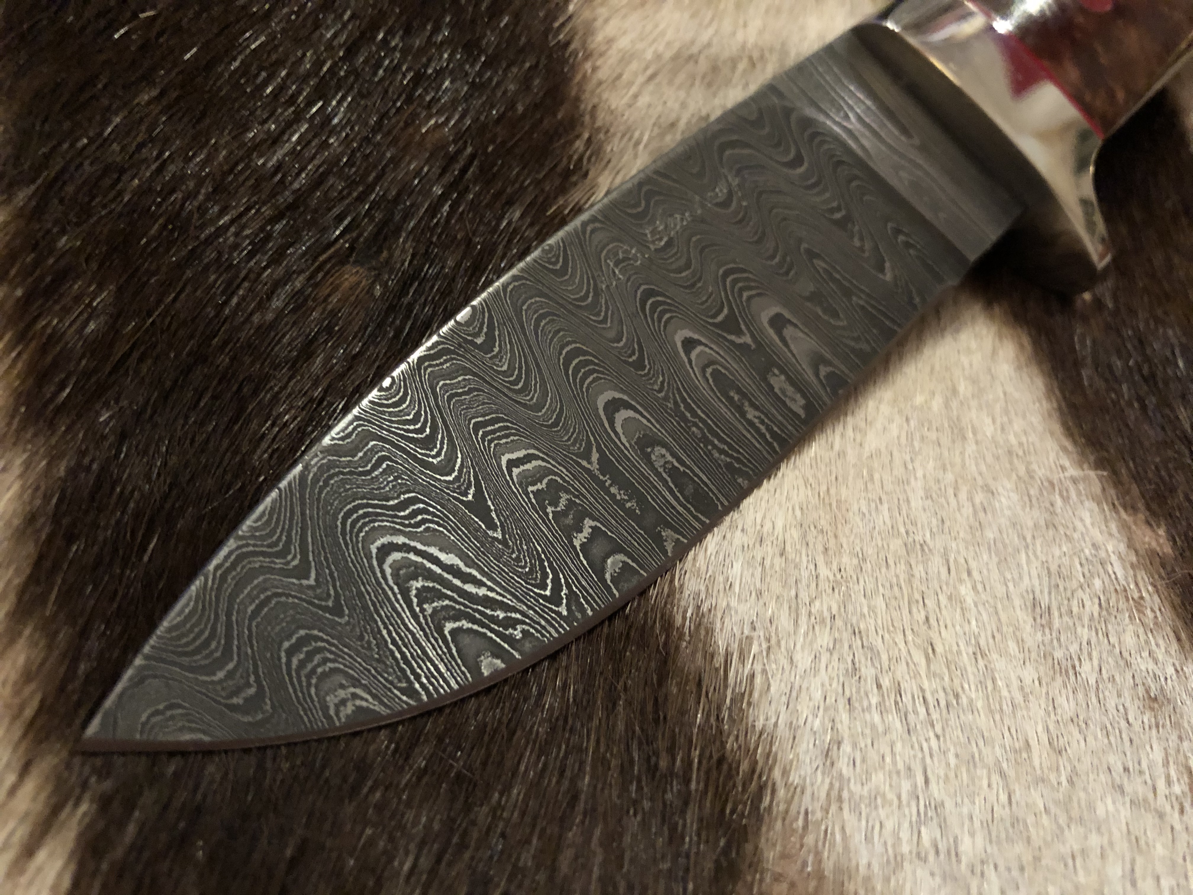 Custom Hunter - Maple Burl handle - 2