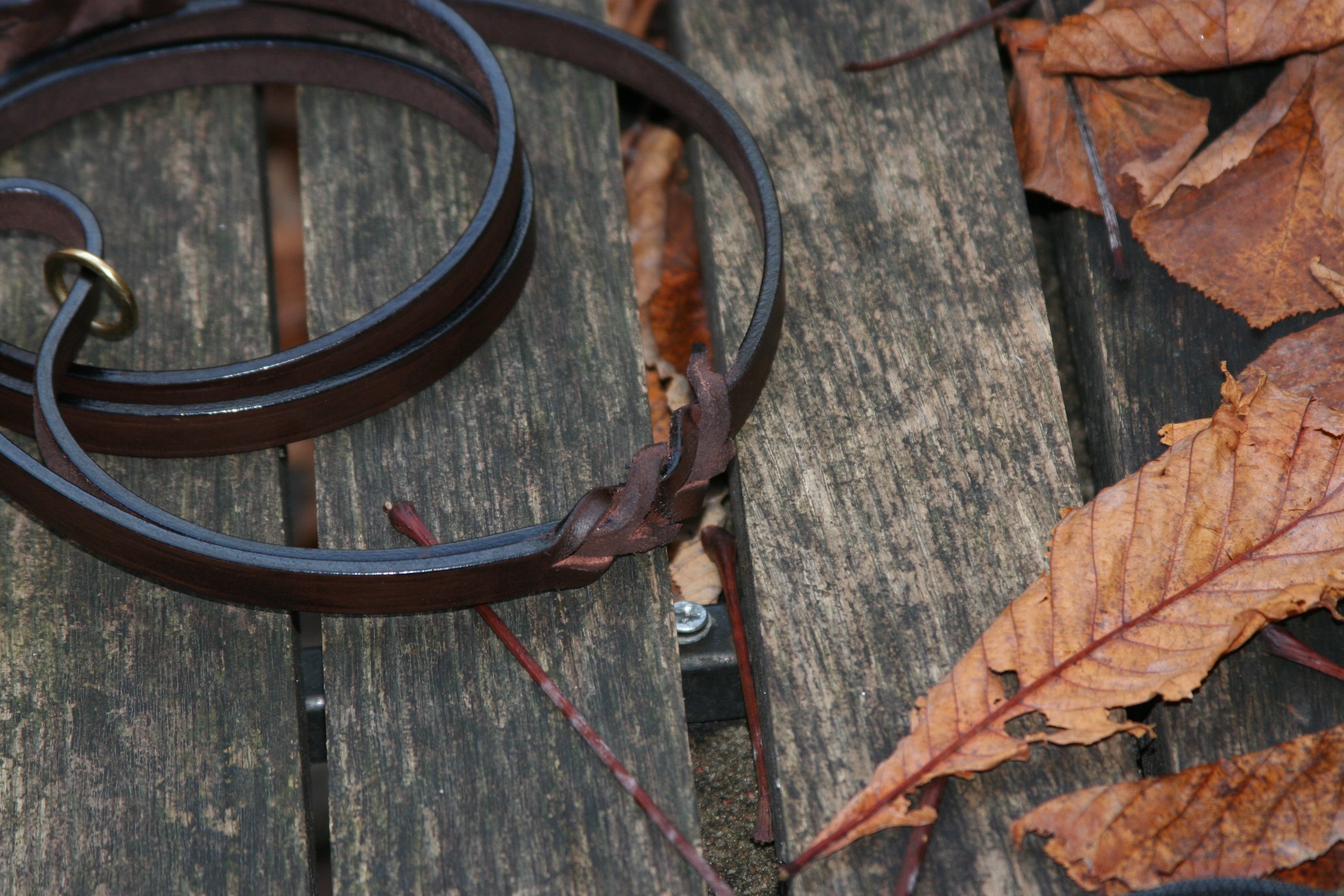 Luxurious Dog Lead - Hundkoppel i Bridle Leather - 6