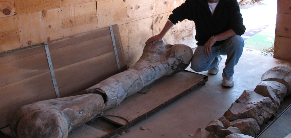 50%  RABATT -   UNIKT MATERIAL 150 MILJONER ÅR -  Damascus Liner lock  SÅLD! - 8