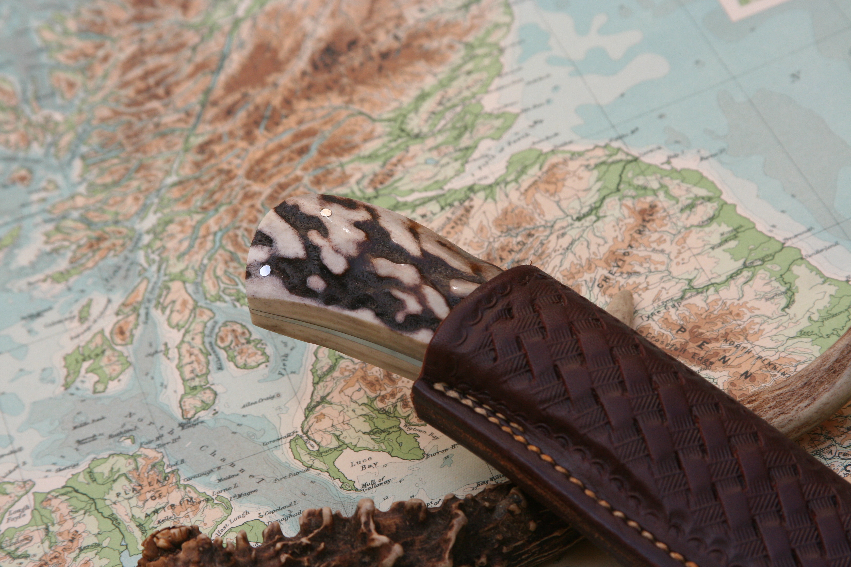 Damascus And Stag - Drop Point Hunter - 10