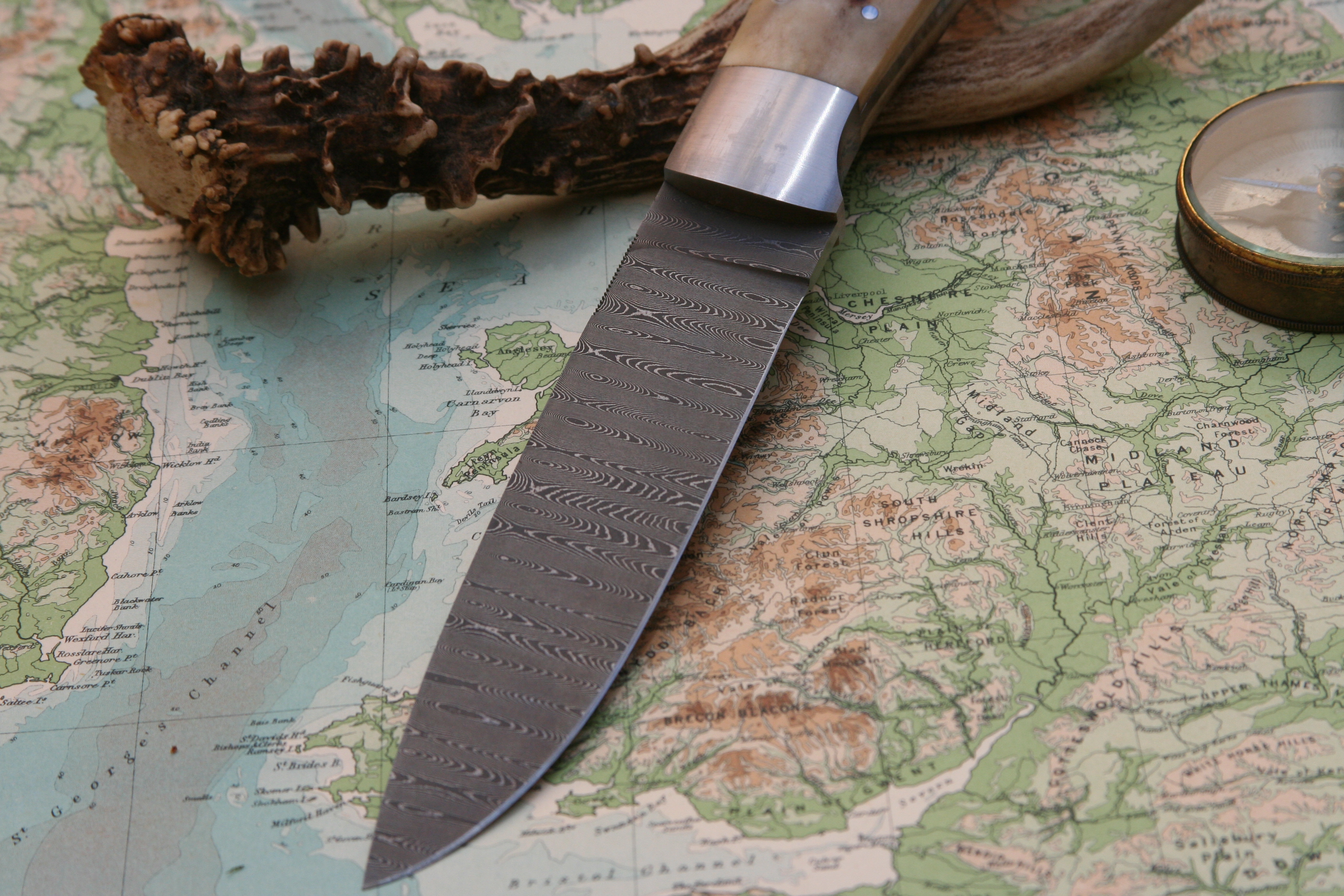 Damascus And Stag - Drop Point Hunter - 4