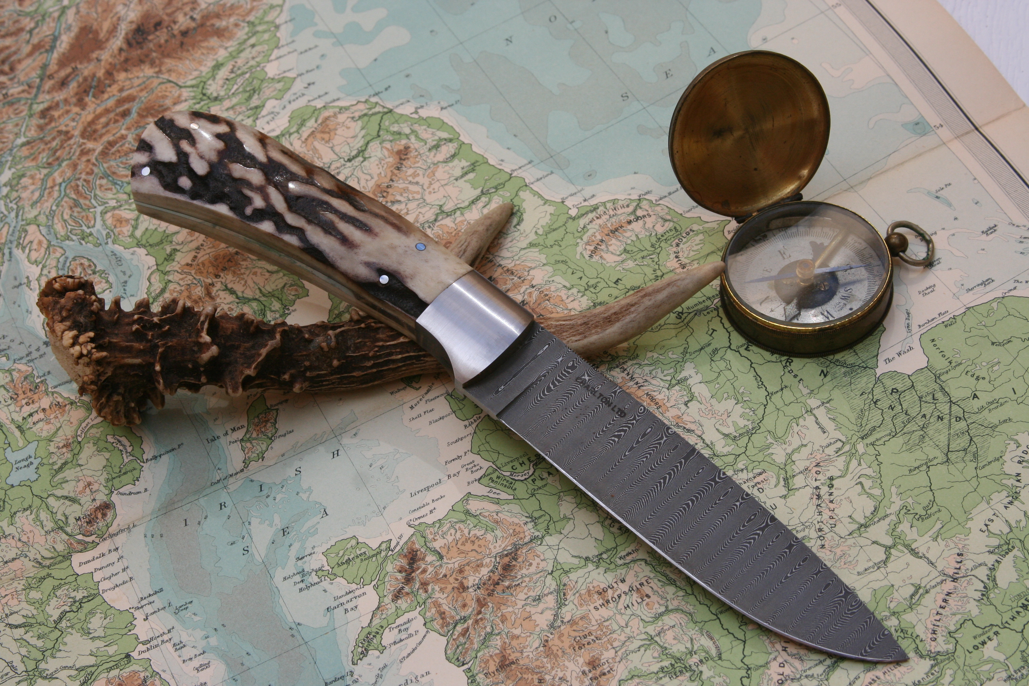 Damascus And Stag - Drop Point Hunter - 8