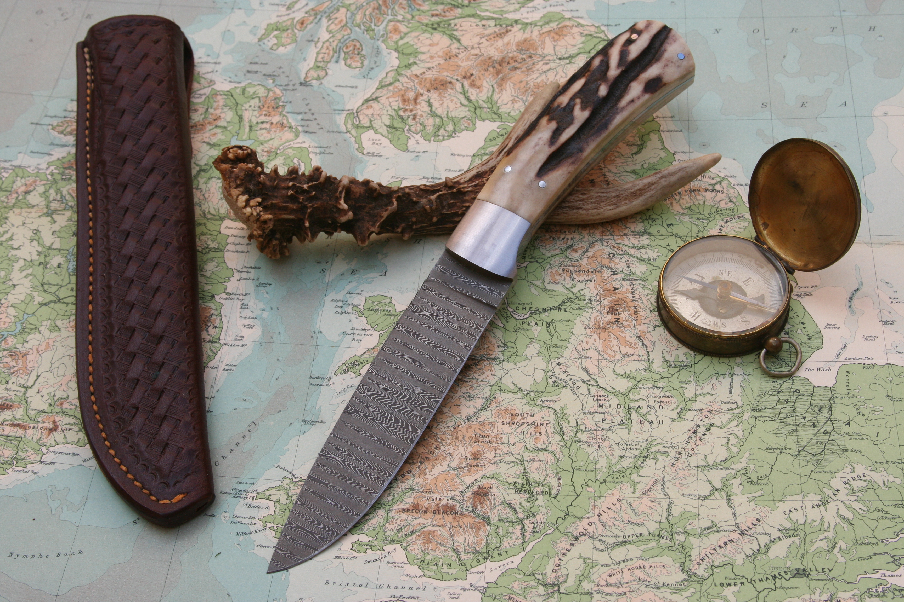 Damascus And Stag - Drop Point Hunter
