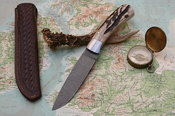 Damascus And Stag - Drop Point Hunter