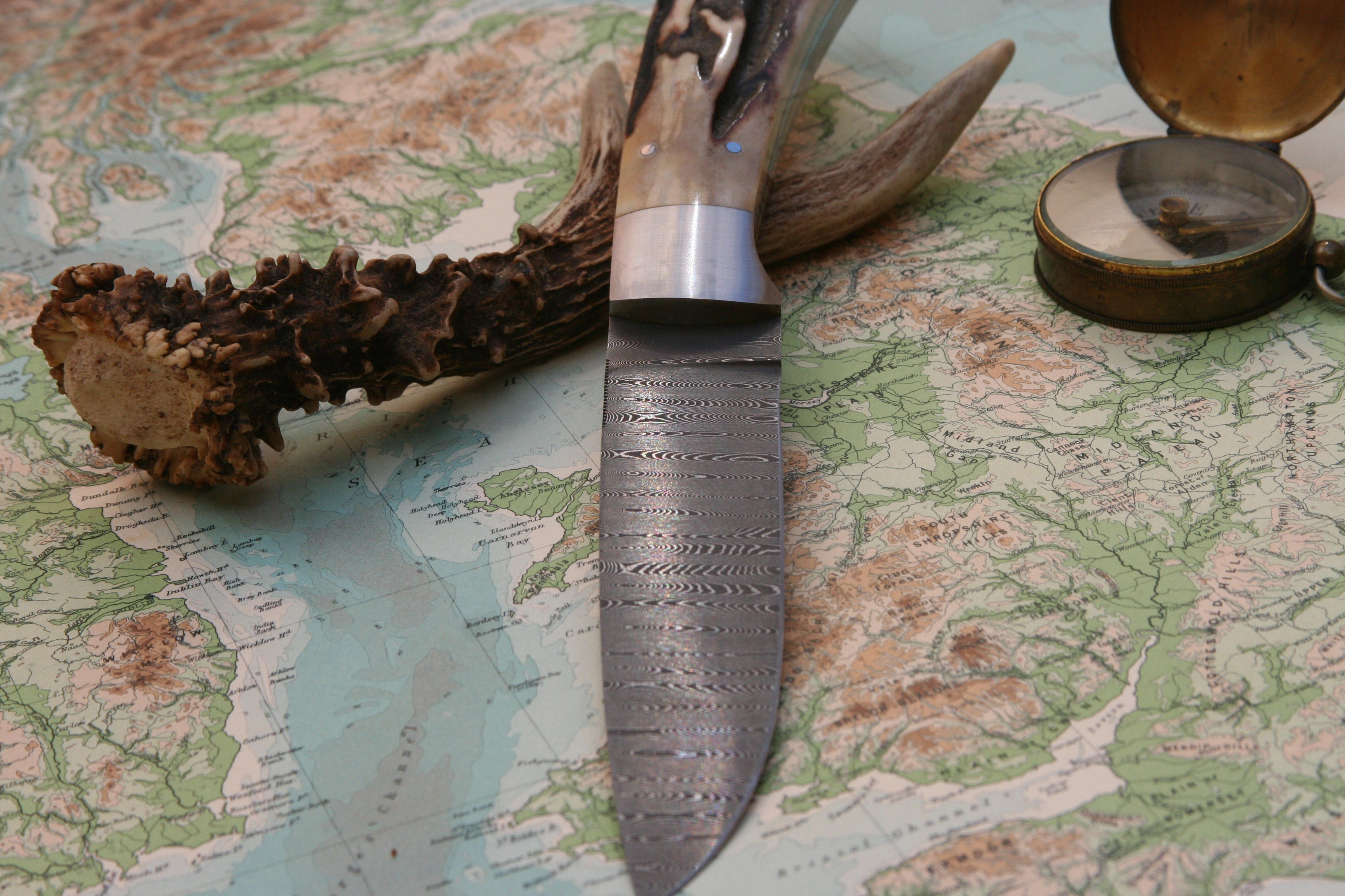 Damascus And Stag - Drop Point Hunter - 5