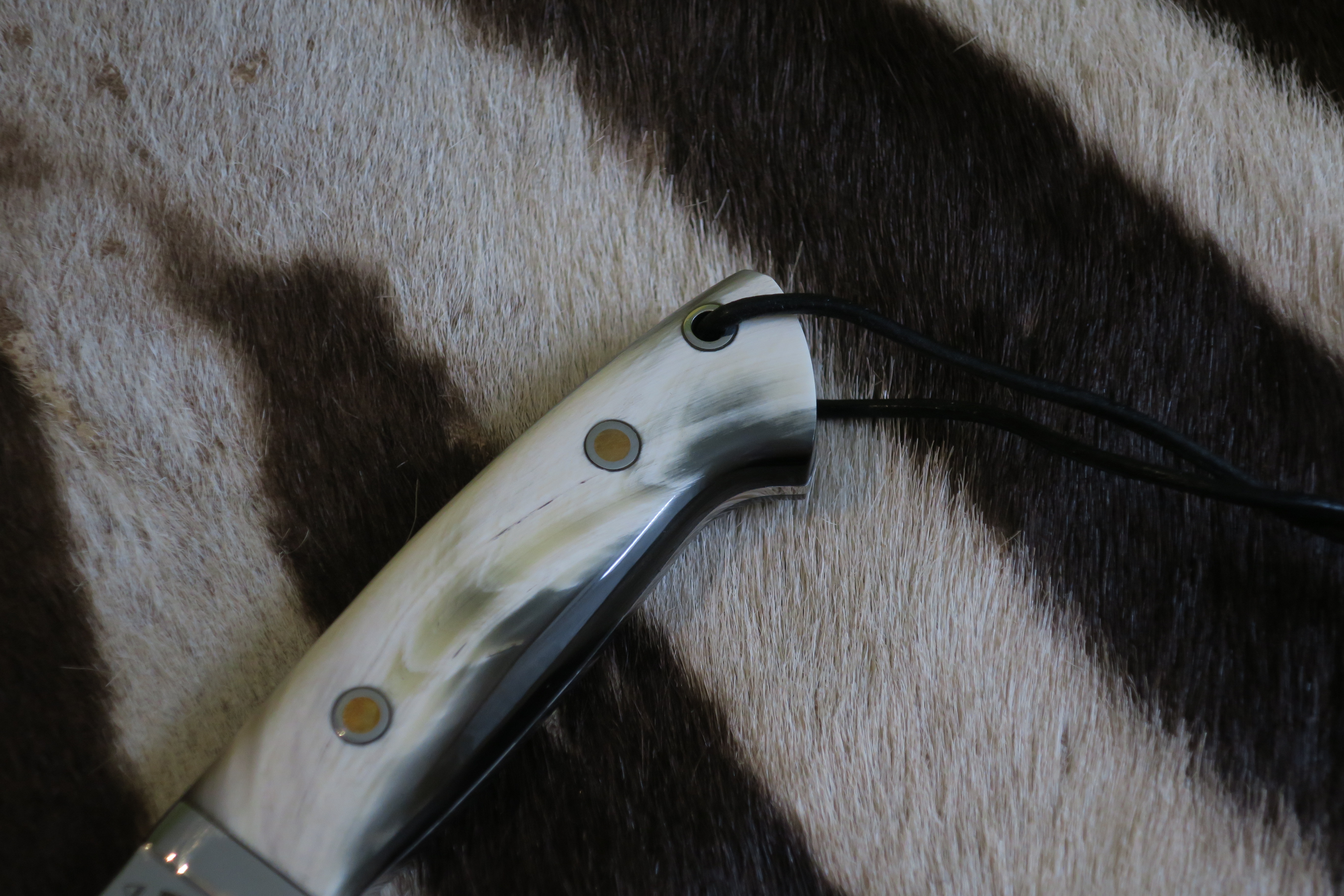 Buffalo Horn Loveless Style Drop Point Hunter - 3