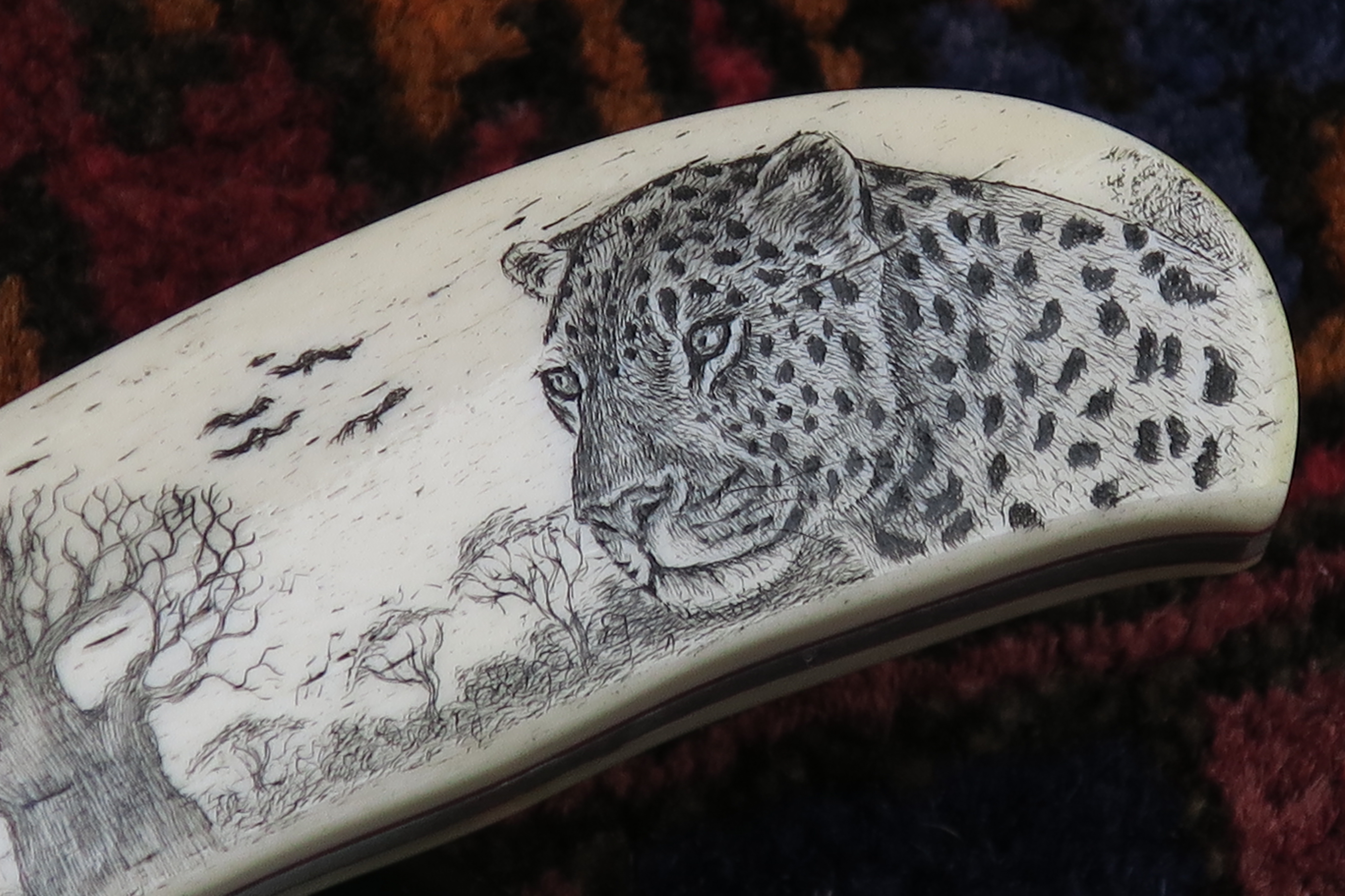 Makalös Scrimshaw! Leopard – en medium Utility Hunter knife - 3