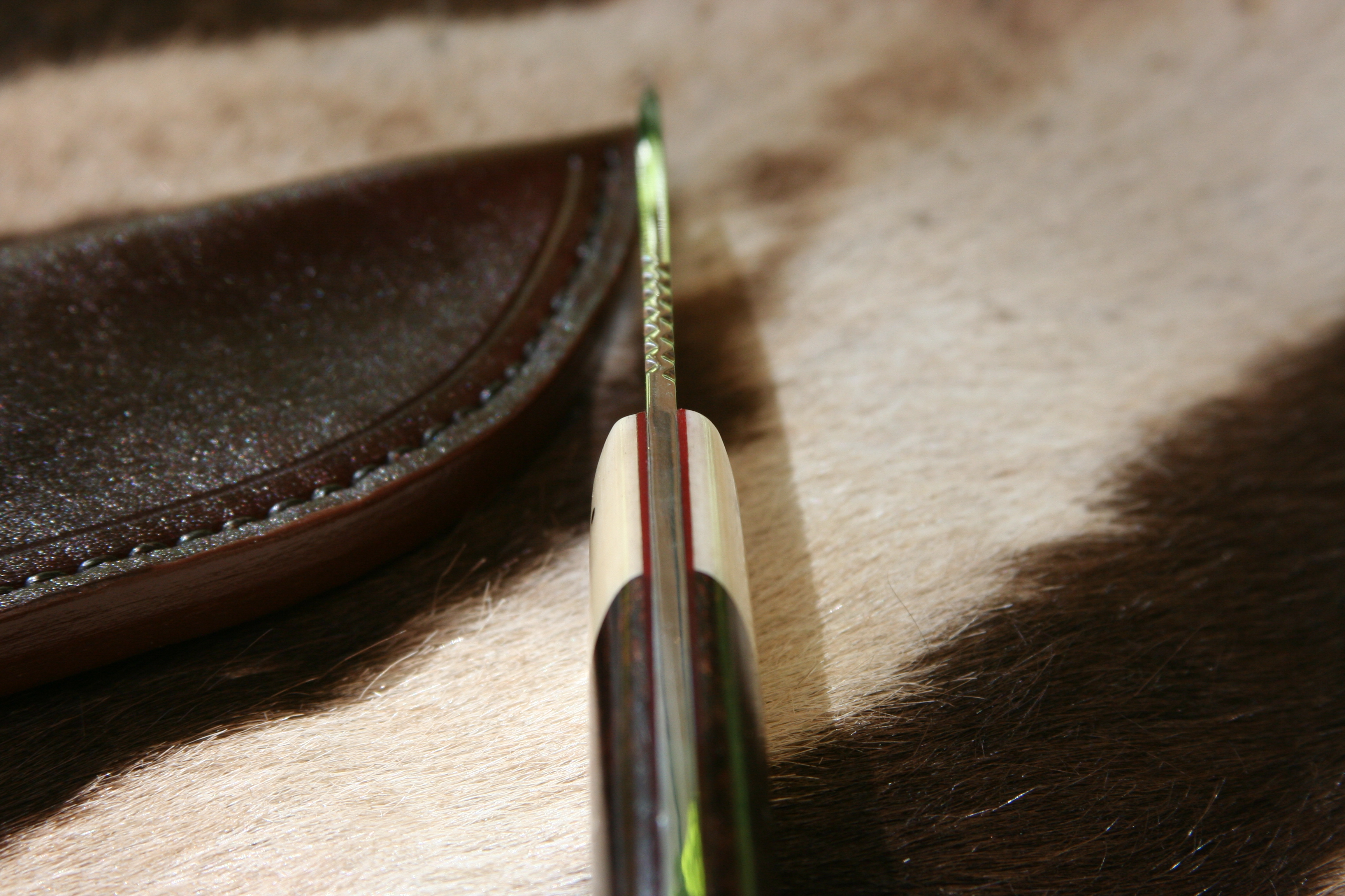 Drop point Hunter - Sydafrikansk Storviltskänsla - 4