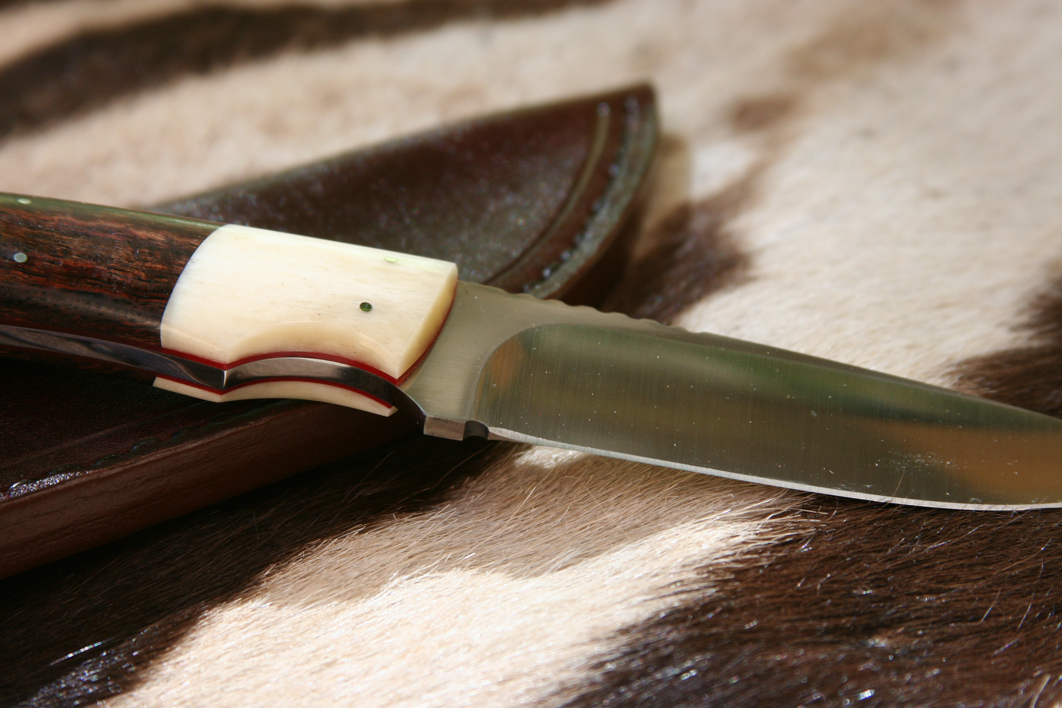 Drop point Hunter - Sydafrikansk Storviltskänsla - 7