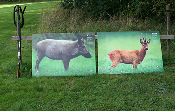 DIRECT HIT  Kanalplast 80 x 115 cm  Vildsvin och Rådjur