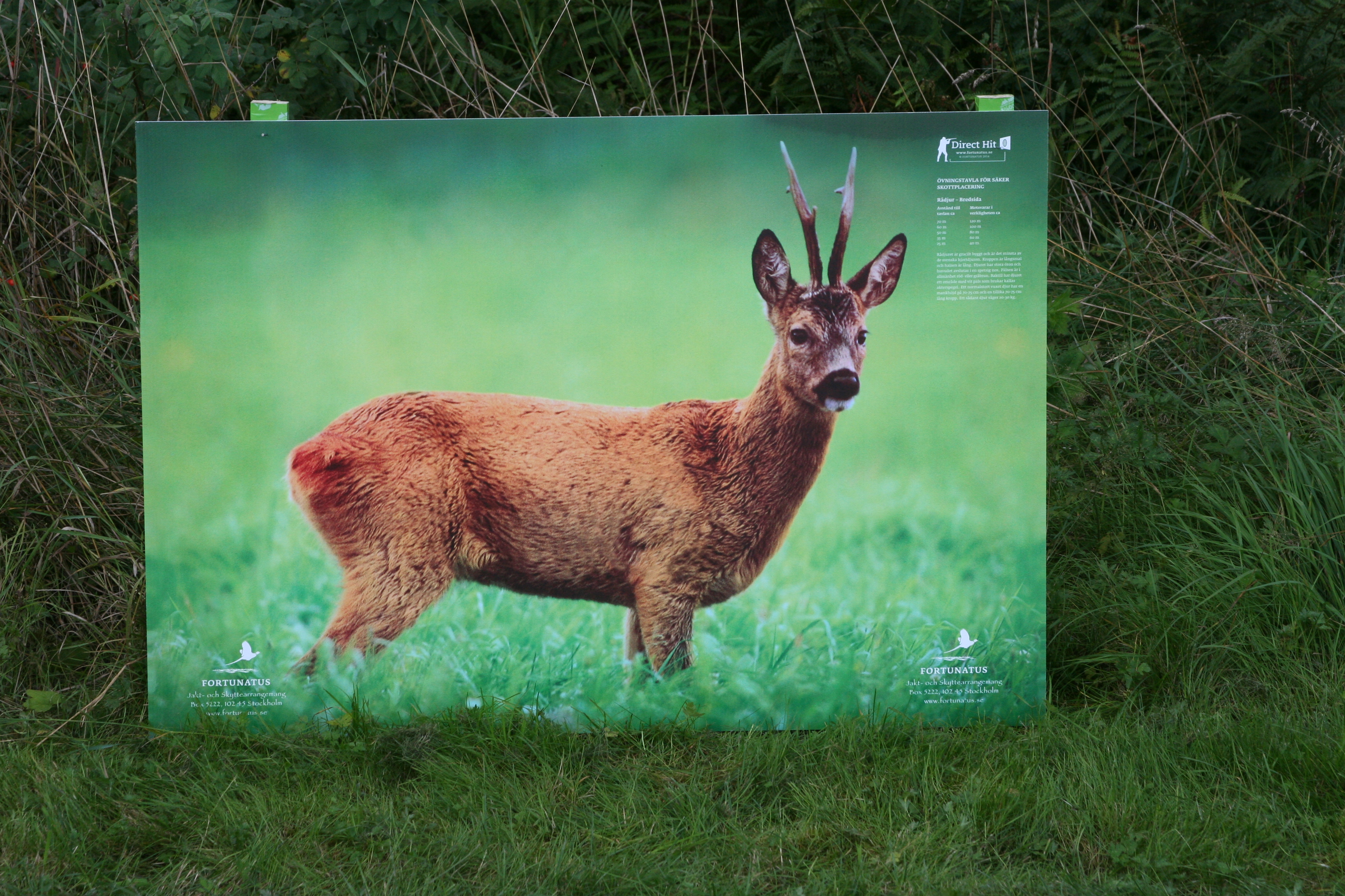 DIRECT HIT  Kanalplast 80 x 115 cm  Vildsvin och Rådjur - 7
