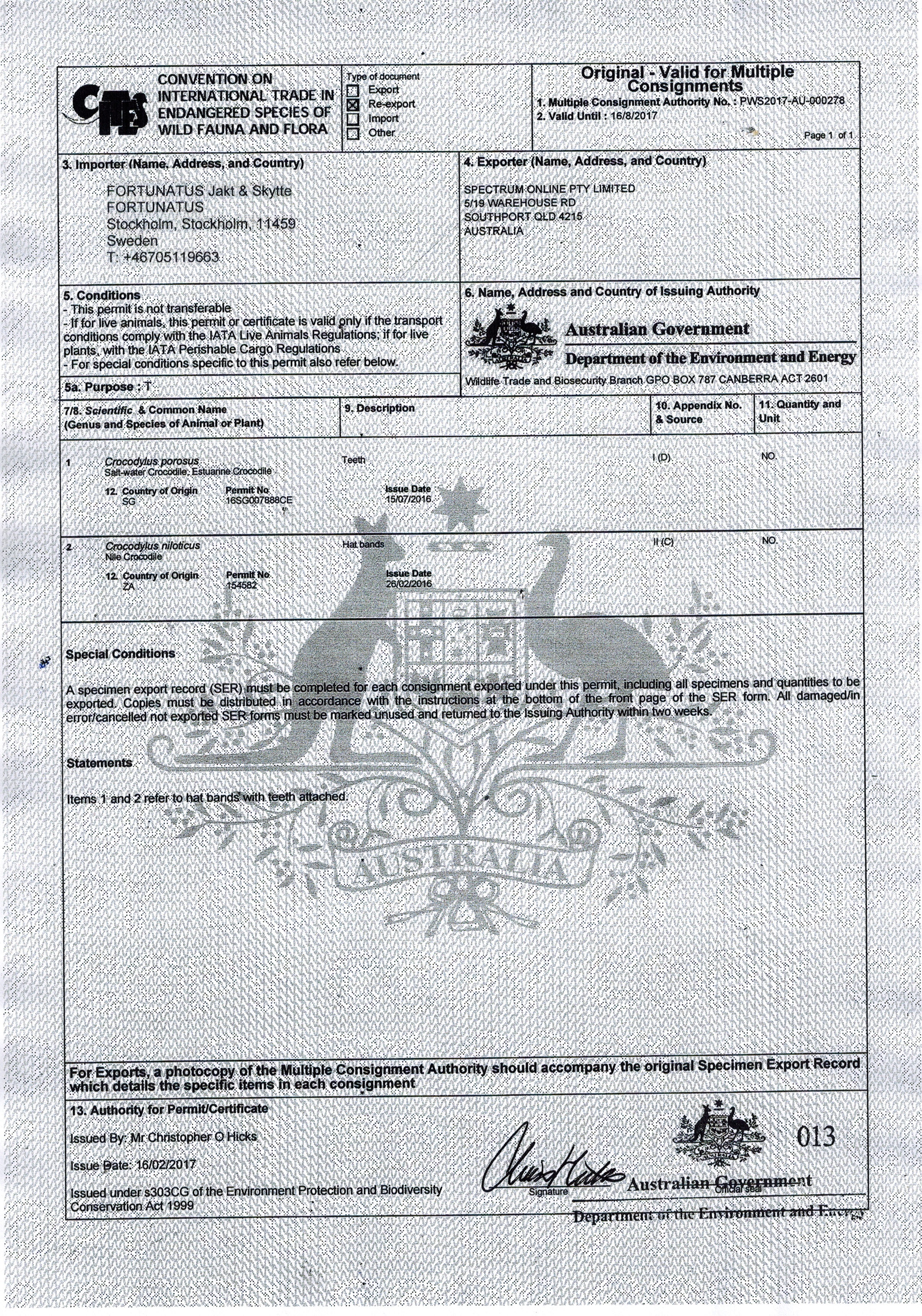 Hattband i Krokodil - Med CITES-intyg - 10