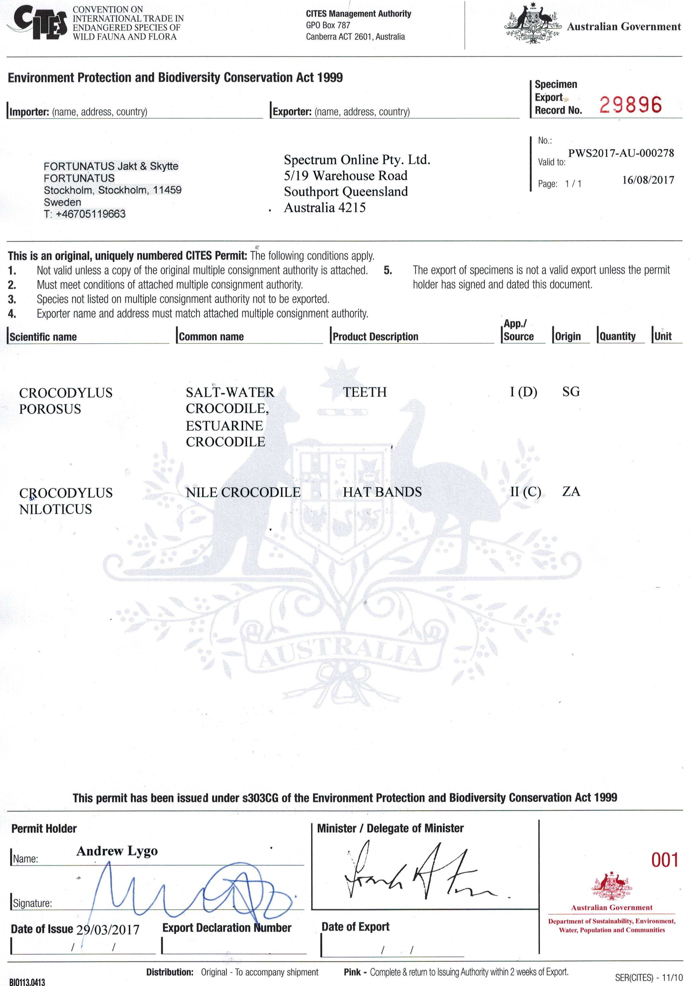 Hattband i Krokodil - Med CITES-intyg - 11