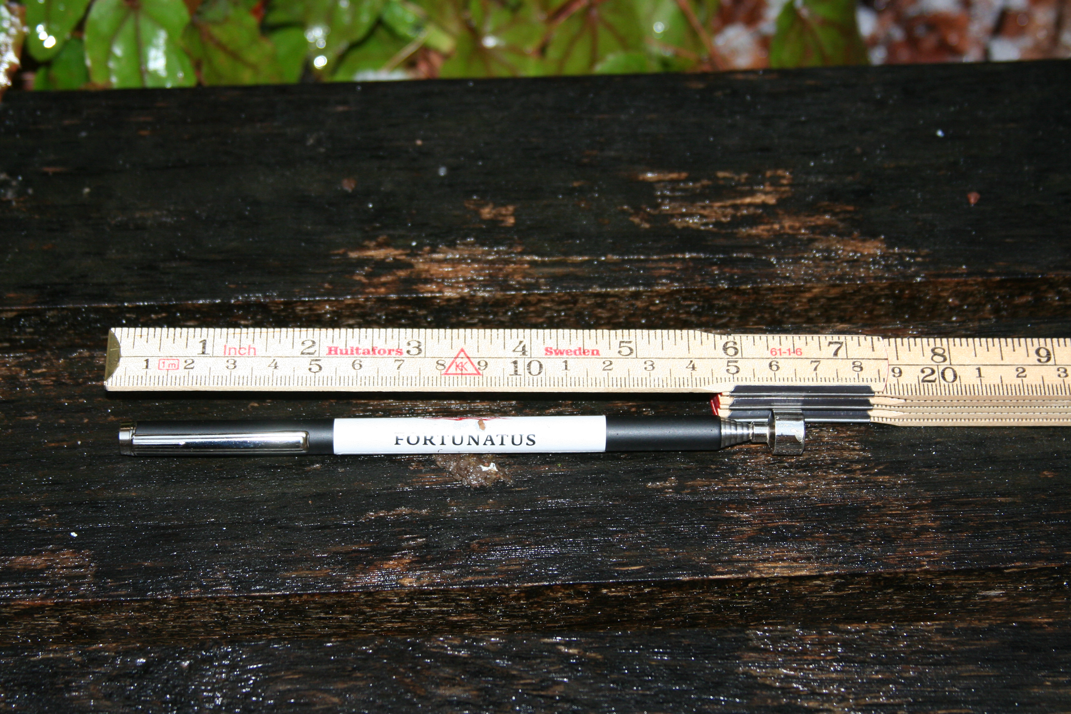 Magic Magnetic Stick - Teleskopisk magnetpinne för tomhylsor - 7